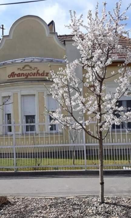 Aranyosház-Vendégház Budapest Extérieur photo