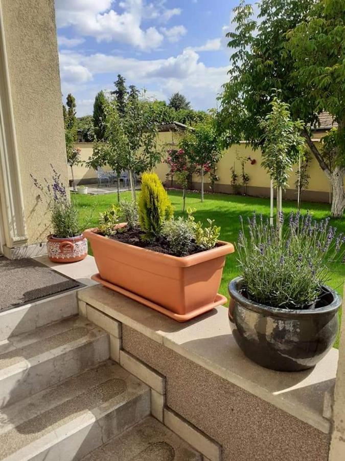 Aranyosház-Vendégház Budapest Extérieur photo